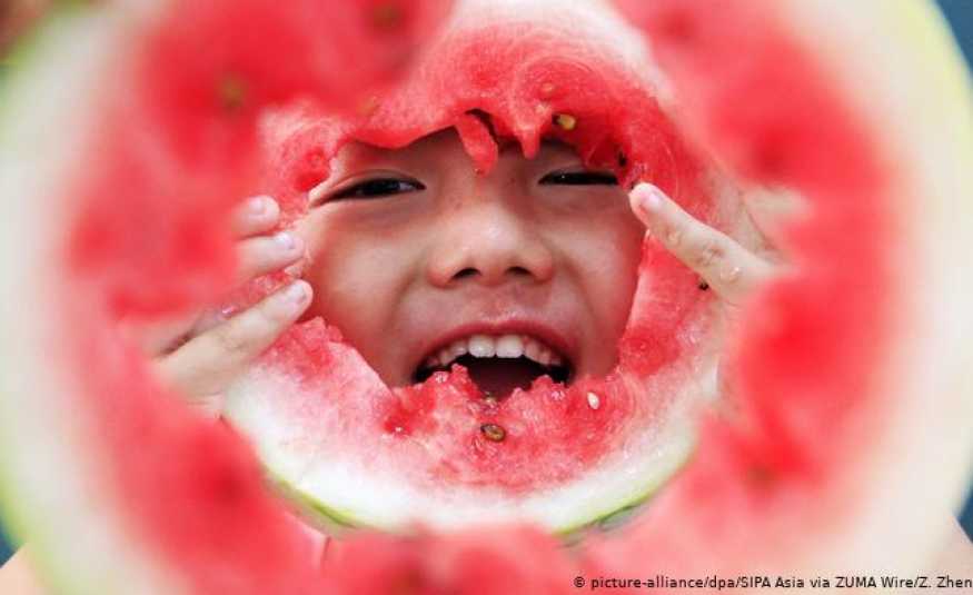 ما هي فوائد بذور البطيخ؟