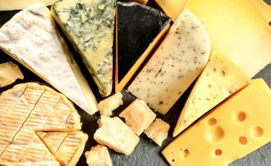 لهذا السبب: الجبن المتعفن.. ثروة!