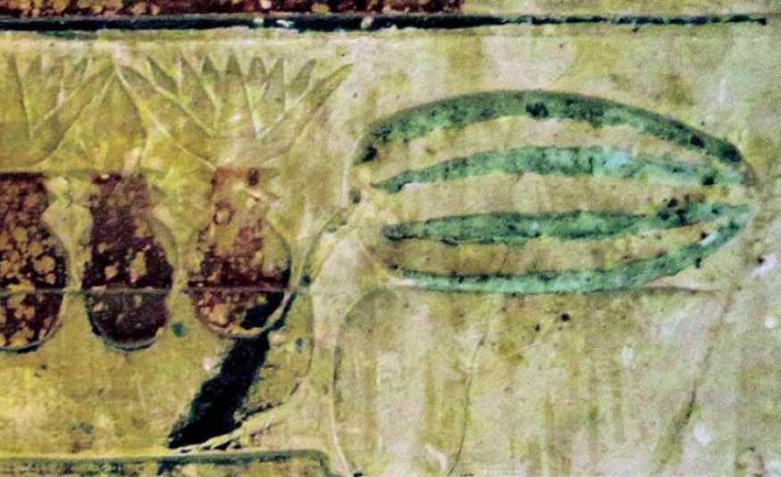 مقبرة فرعونية تكشف أصول البطيخ!